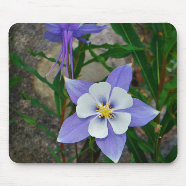 Mousepad Columbina azul (Frente)