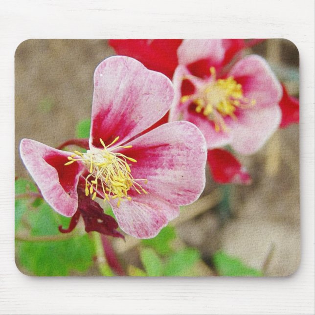 Mousepad Columbina das Flores bonito (Frente)