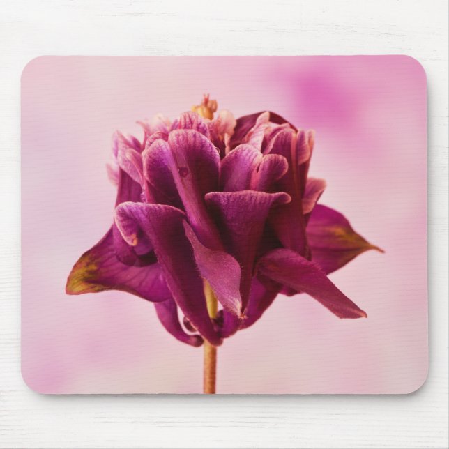 Mousepad Columbina Rosa Burgundy (Frente)