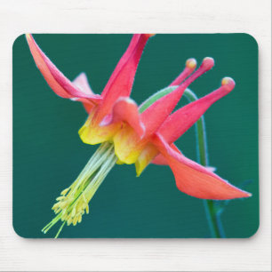 Mousepad Columbina Vermelha