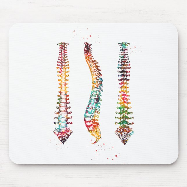 Mousepad Coluna Vertebral Humana (Frente)