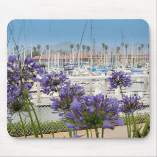 Mousepad com as flores azuis do Agapanthus