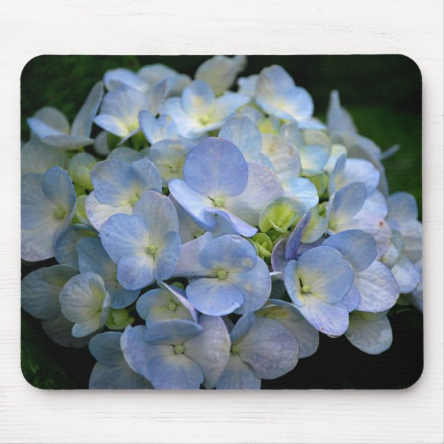 Mousepad com as flores azuis do hydrangea (Frente)