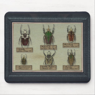 Mousepad com besouros de Goliath