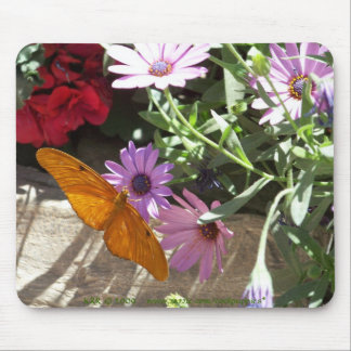 mousepad com borboleta e as flores alaranjadas