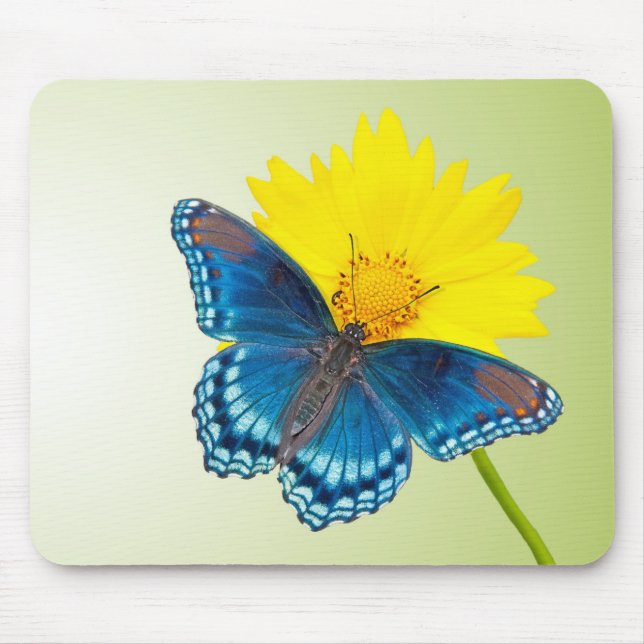 Mousepad com borboleta e flor (Frente)