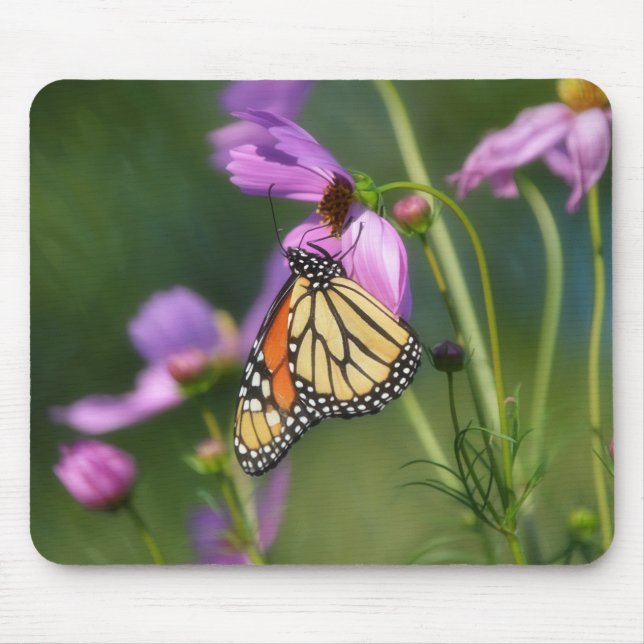 Mousepad com Borboleta Monarca em Flores Rosa (Frente)