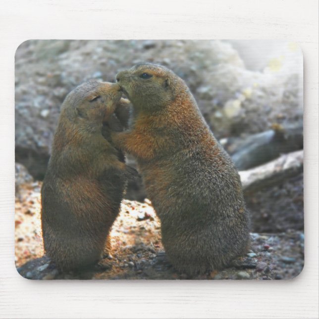 Mousepad com casal bonito da marmota (Frente)