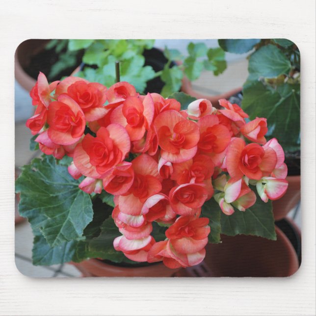 Mousepad com Flores (Frente)