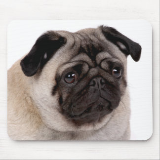 mousepad com focinho do pug