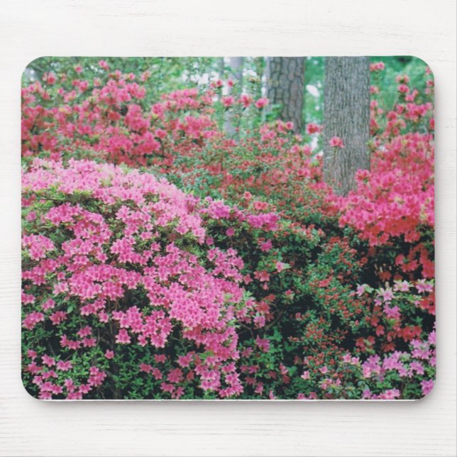 Mousepad com um Spray de Azaleas rosa (Frente)
