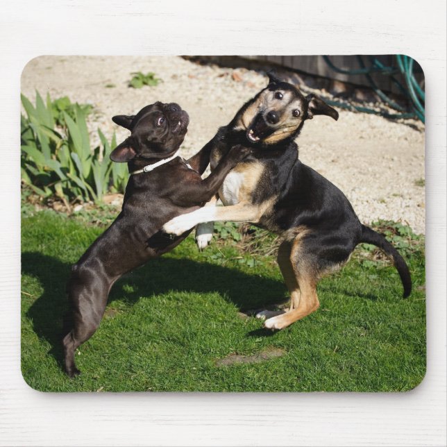 Mousepad Combater cães (Frente)