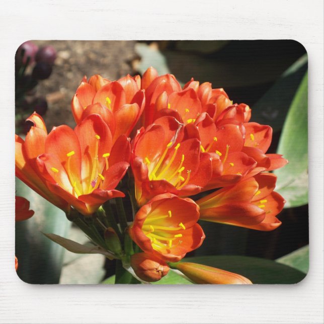 Mousepad Comemore (Frente)