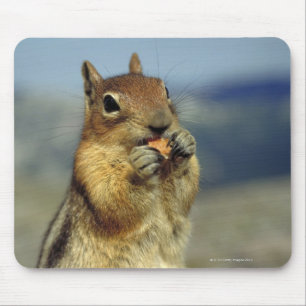 Mousepad Comer do esquilo