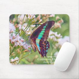 Mousepad Common Bluebottle