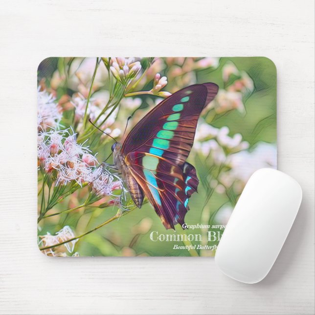 Mousepad Common Bluebottle (Com mouse)