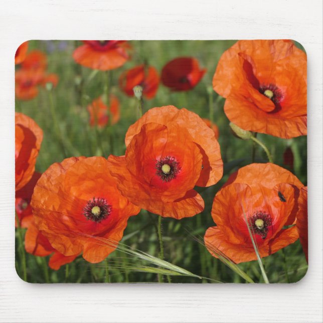 Mousepad Common Poppies  (Frente)