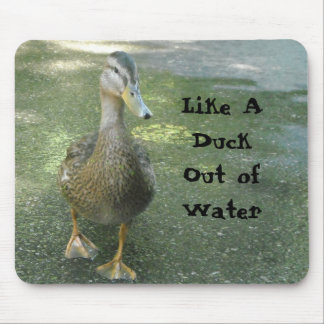 Mousepad Como um pato fora d'água