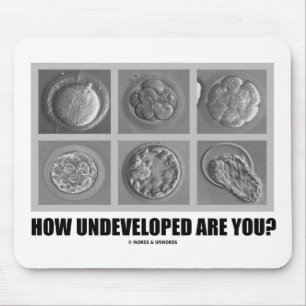 Mousepad Como Você Está Desdesenvolvido? Embryos Zygotes