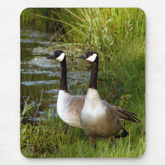 Mousepad Companheiros para a vida