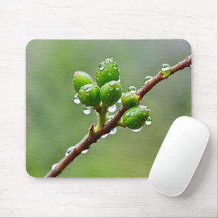 Mousepad Compartimentos Primavera verdes