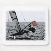 Competição Velejando Foto Catamaran