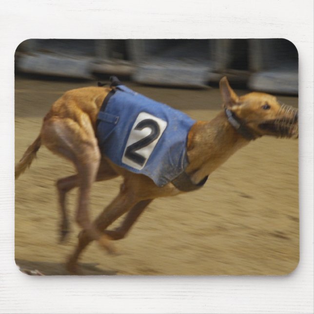 Mousepad Competindo o tapete do rato do galgo (Frente)