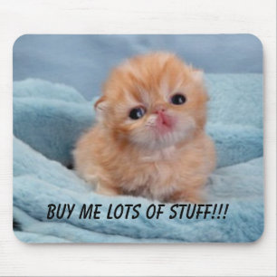 Mousepad Comprar para o gatinho bonito