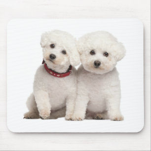 Mousepad Computador De Cão Branco De Cachorro De Cachorro