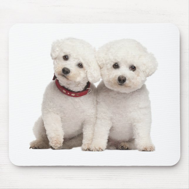 Mousepad Computador De Cão Branco De Cachorro De Cachorro B (Frente)