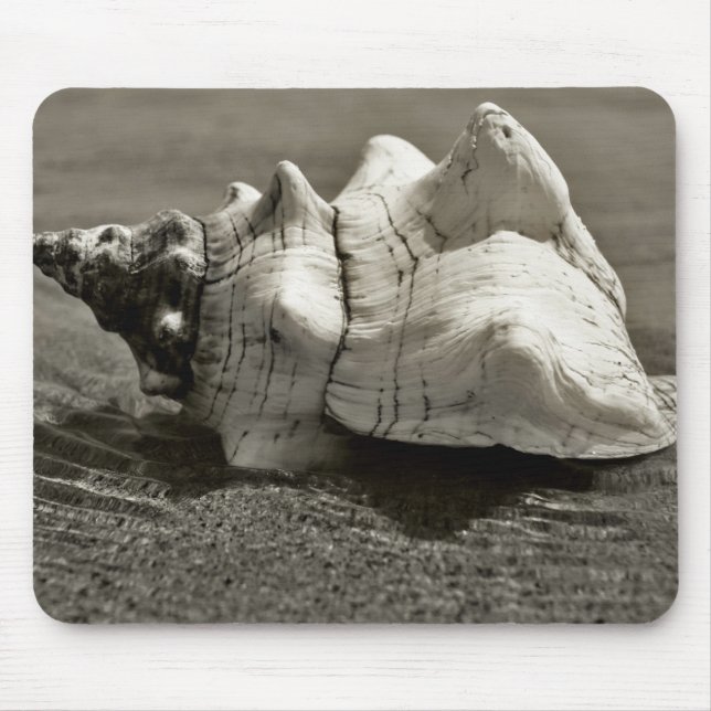 Mousepad Conch preto e branco Shell (Frente)