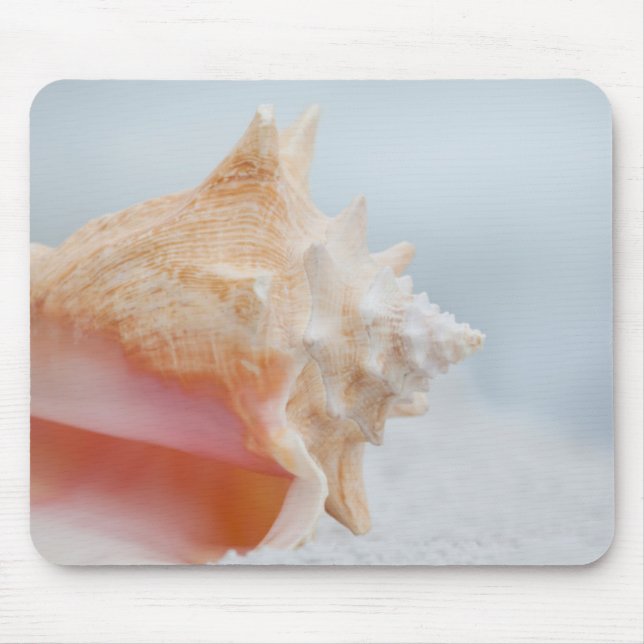 Mousepad Conch Shell | Florida (Frente)