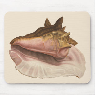 Mousepad Concha de Boca de Rainha Marinha Vintage