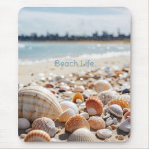 Conchas do Mar na Praia