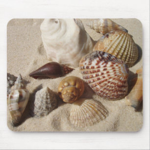 Mousepad Conchas marítimas, conchas marítimas