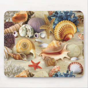 Mousepad Conchas marítimas na praia