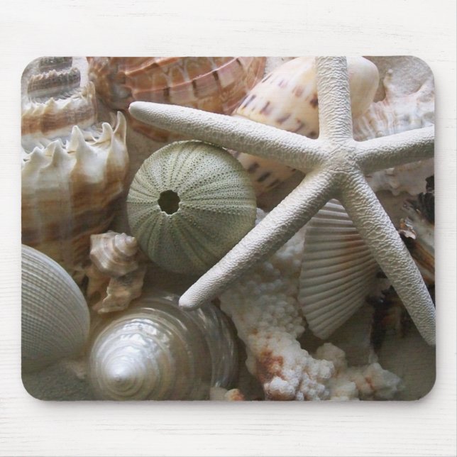 Mousepad Conchas numa pilha (Frente)