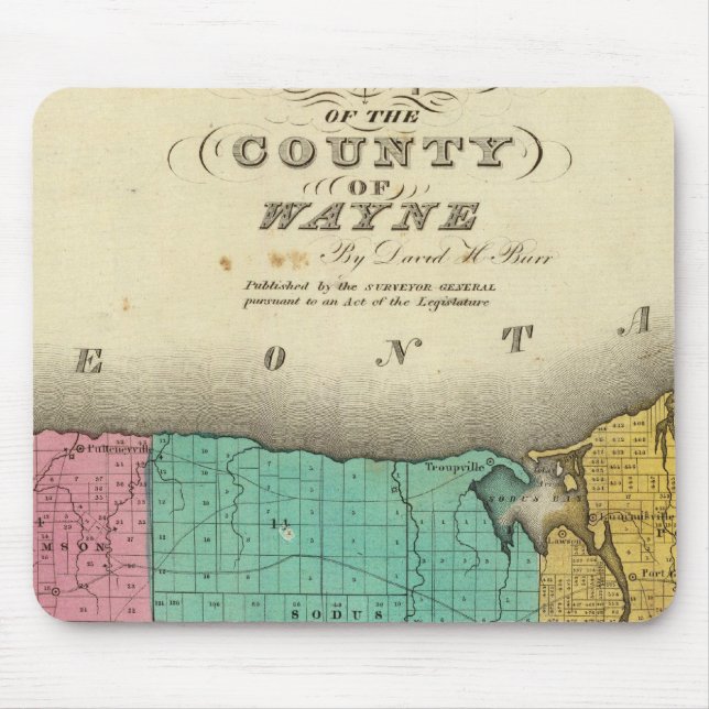 Mousepad Condado de Wayne (Frente)