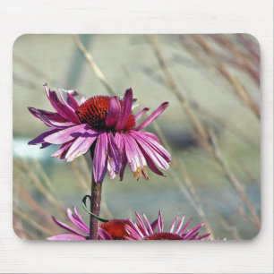 Mousepad Coneflower