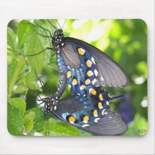 Mousepad Congresso, borboleta de Pipevine Swallowtail da