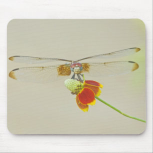 Mousepad Conjunto Xadrezado (Dythemis fugax) no Mexicano