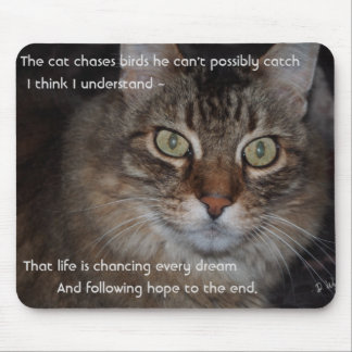 Mousepad Continue Perseguindo Seus Sonhos - Gato De Mouse G