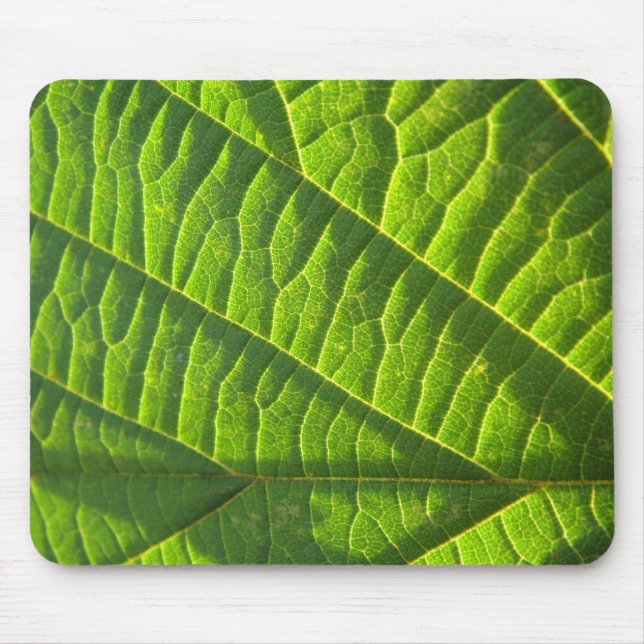 Mousepad Cooles grünes Blattmuster (Frente)