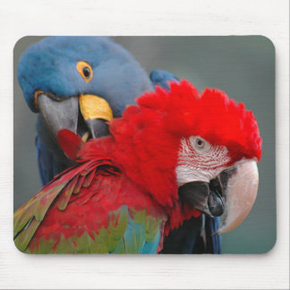 Mousepad Cooperação