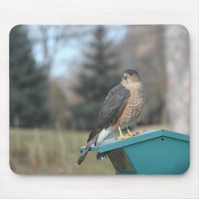 Mousepad Coopers Hawk (Frente)