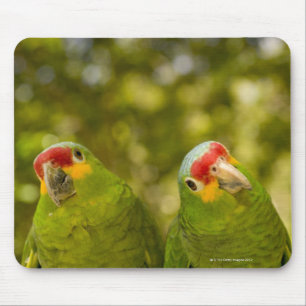 Mousepad Copan, Honduras