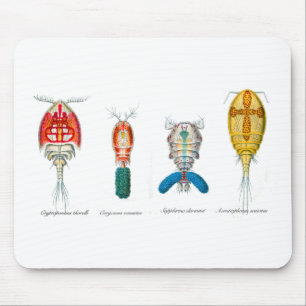 Mousepad Copepods