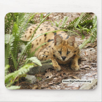 Mousepad cópia do serval 019