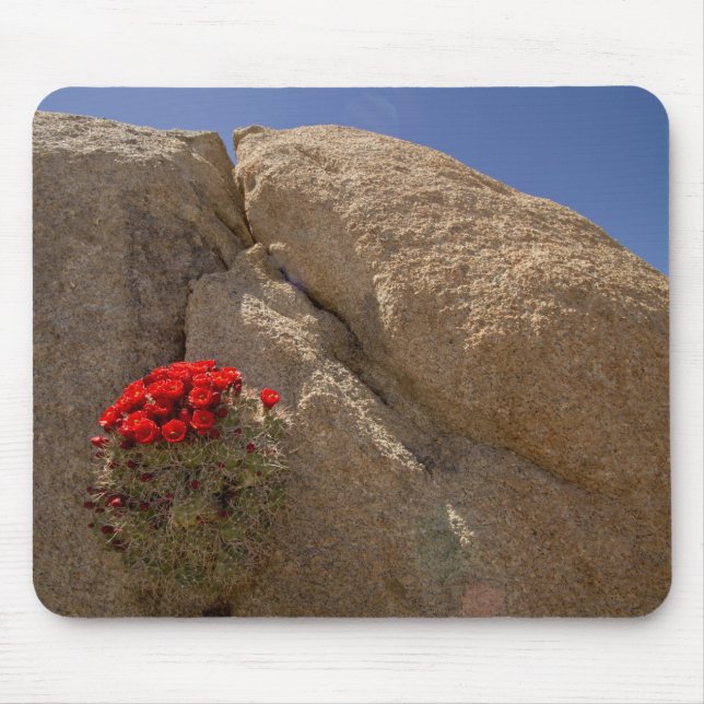 Mousepad Copo de Claret ou cacto de montaria de Mojave em f (Frente)