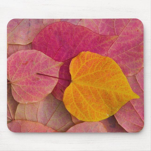 Mousepad Cor de outono no Forest Pansy Redbud caído (Frente)